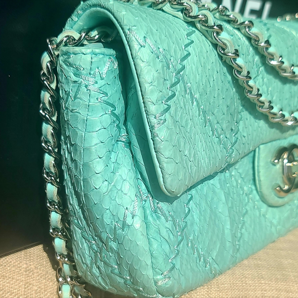 Chanel Python Classic Flap Bag - image 8